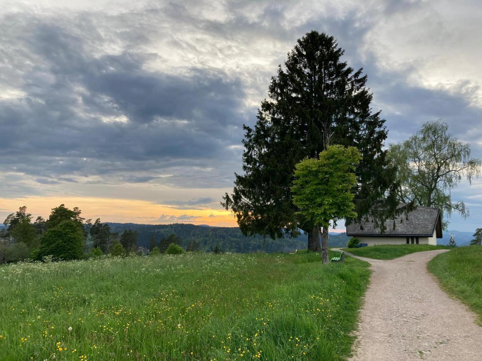 Haus Hanni Höchenschwand Εξωτερικό φωτογραφία